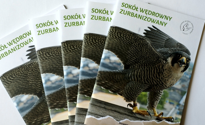 Nagrody w konkursie - PEC S.A. Wałbrzych
